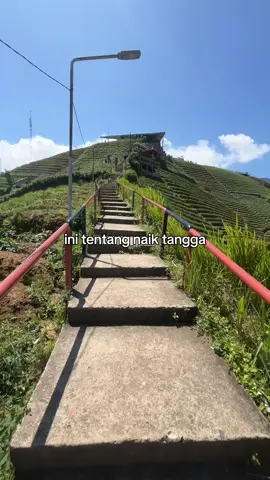 Bukan cuma pengen naik tangga tapi juga membangun rumah tangga ckckckckckc🙂‍↔️ #teraseringpanyaweuyan #fyppppppppppppppppppppppp #HariJomblo 