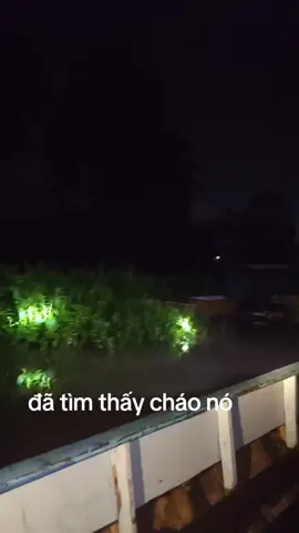 tìm được cháo nó rồi 