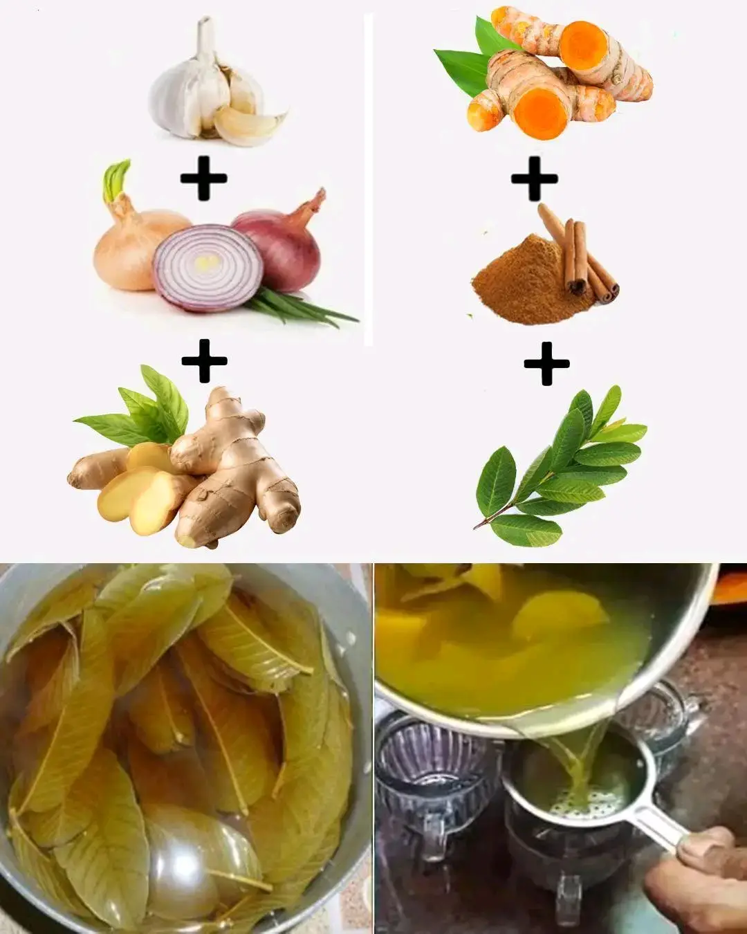 #በአጭር ጊዜ ከአይነጥላ  ችግር ይገላገሉ   👉  የዓይነ ጥላ ተጽኗቸው ምንድነው  👉መርጌታ መባ ♦️#ትዳር ይገረግራል ፣ ያፈርሳል (ይዘጋል )  ♦️#ቤተሰብን ያስጠላል፣ከቤተሰብ ያርቃል ♦️# በሰው ዘንድ እንዲጠሉ ያደርጋል ♦️# ተስፋ ማስቆረጥ ህይወትን ባዶ ያደርጋል  ♦️# የገንዘብ አለመበርከት ፣ መገርገር  ♦️# ከማሕፀን ላይ ተቀምጦ ልጅ እንዳይወለድ ይዘጋል ♦️ #የተረገዘውን በወር አበባ መልክ ያስወርዳል  ♦️# የማህፀን ኢንፌክሽን ያመጣል ♦️# የማህፀን እጢ ያመጣል  የወር አበባ ያዛባል (ይዘጋል) 👉 የውጭ እድልን ይዘጋል (ፕሮሰስ ማቋረጥ) 👉 መጥፎ የሰውነት ጠረን  ያመጣል 👉 መጥፎ የአፍ ጠረን ይፈጥራል  👉 ቁርጥማት ያመጣል  👉 እግር ሰብስቦ ይይዛል 👉 ለሰው ጥሩ ሰርተው አለመመስገን 💠 ሕልመ ሌሊት ያመጣል  💠ስንፈተ ወሲብ ፣የብልት መልፈስፈስ (ተሎ መጨረስን) ያመጣል 💠የትዳር ማስጠላት  💠 ፆታዊ ግንኙነት ያስጠላል 💠 ለፍቅር አጋር ስሜት አለመኖር  💠 ለተለያዩ ሱሶች ይዳርጋል (በሱስ መጥመድ) 💠 ቤት ማስጠላት ውጭ ማምሸት 💠 ስራ ሲሰሩ ሲያነቡ ማዛጋት መደበት 💠 ሆድ መጮህ መገላበጥ መንፋት ጋዝ መብዛት  💠 የስራ ማስጠላት ከስራ ባልደረባ ጋር አለመስማማት 💠 በሚሰሩት ስራ ደስተኛ አለመሆን 🌿🌿🌿🌿🌿🌿🌿🌿🌿🌿🌿🌿🌿🌿🌿🌿🌿🌿🌿🌿🌿🌿🌿 ⏭ የበታችነት ስሜት መሰማት ⏭ሀገር ለሀገር ማዞር  ⏭የምግብ ፍላጎት መዝጋት  ⏭ ማክሳት (ማቅጨጭ) ⏭ጭንቀት ፣ ድብርት  ⏭እራስን አጥፉ አጥፉ ማለት ⏭ ሌሊት ማቃዠት ፣ ማስጮህ ፣ በሕልም ማስጨነቅ ⏭ጥርስን ማንቀራጨጭ በሕልም ማሽናት  ⏭ ለጨጓራ በሽታ መዳረግ ⏭ ስኳር ፣ ደም ግፊት ፣ አስም ፣ ኩላሊት ማምጣት   🌿🌿🌿🌿🌿🌿🌿🌿🌿🌿🌿        #መፍትሔ  🔷🌱የቀጠጥና ስር 🔷🌱ከርቤ ህጣን 🔷🌱የእፀ ሳቤቅ ስር 🔷🌱የጊዜዋ ስር    🌿🌿🌿🌿🌿🌿🌿🌿🌿🌿🌿🌿🌿🌿🌿🌿🌿🌿🌿🌿🌿🌿                 👉 የሁሉንም ስሮች በንፅህና ማክሰኞ ቀን ነቅሎ ቀጥቅጦ አድርቆ ሸርከት አድርጎ በመፍጨት ከርቤ ህጣን ጨምሮ በስኳር ማንኪያዋ አንድ ጨምሮ ከ(14-21) ቀን መታጠን ዓይነ ጥላን ያስወግደዋል 🌿🌿🌿🌿🌿🌿🌿🌿🌿🌿🌿       💚የሚከለከሉ ነገሮች  ✅ ✅  ግንኙነት። ✅ እነዚህ በሽታዎች በአይነ ጥላ ብቻ ይመጣሉ ማለት አይደለም በሌላም ምክንያት  ይመጣሉ# እናመስግናለን           መልካም ጤንነት 🌱🌱ማንኛውም ለመድሀኒትነት የሚውሉ እፀዋቶችን እዚህ  የባህል ህክምና ማእከል ውስጥ ማግኘት ይችላሉ🌱🌱🌱 