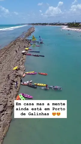 Viajar a Porto de Galinhas não é apenas conhecer um destino paradisíaco — é viver uma experiência inesquecível. Cada detalhe dessa viagem desperta emoções: o contato direto com a natureza em piscinas naturais cristalinas, o mergulho entre peixes coloridos, o sol que abraça a pele e o clima acolhedor que transforma dias comuns em memórias extraordinárias. Mais do que visitar praias, você mergulha em uma atmosfera única, onde a simplicidade do vilarejo se mistura ao charme da gastronomia local, à alegria do povo pernambucano e à sensação de estar em um lugar feito para desacelerar e aproveitar intensamente cada segundo. Porto de Galinhas é o convite perfeito para desconectar da rotina e se reconectar com a vida, com a natureza e com quem você ama. Não é só uma viagem — é uma experiência que marca a alma e te faz querer voltar antes mesmo de ir embora. ✈️🌴💙 Venham viver esse paraíso conoscooo #praia #portodegalinhas #destino #porto #roteiro 