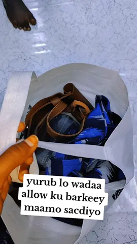 maamo sacdiyo cimri iyo cafimad ku isticmasho Allha kusiyo aamin #bydeko #bydeko #somaliyurub #somalikenyan🇸🇴🇰🇪🔥👸 #hirshabelle💙🤍💚 