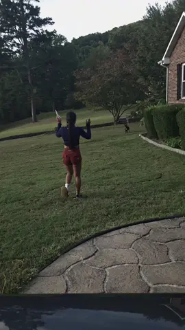 Hmmmmm its not my dogs 🤔🤔🤔