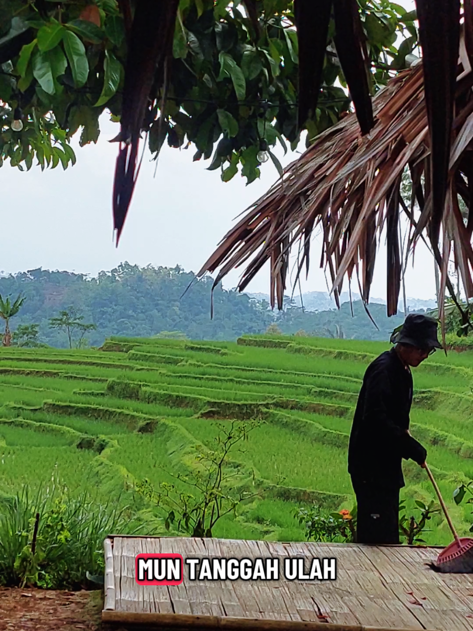 Hatur nuhun abah pang wejangna #papatahsunda #katakatasunda #story #storysunda #saungpojoksinoman 