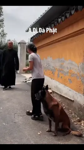 @Nguyện Từ Tâm #samhoi #samhoimoingay #phatphapnhiemmau 