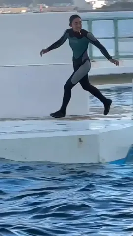 #orcas #trending #foryou #orcas #foryou 