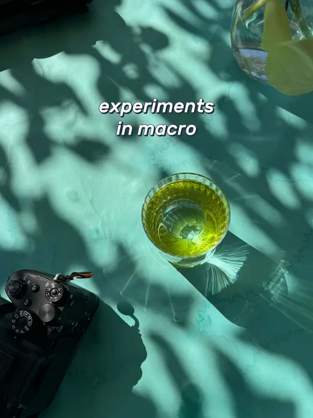 New macro lens is my whole personality at the moment 😌 @Sony Alpha 100mm F2.8 Macro GM 👏 