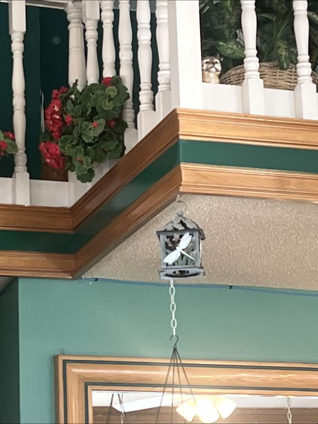 Dancing it out bc it’s almost the weekend! #dragonfly #danceitout 