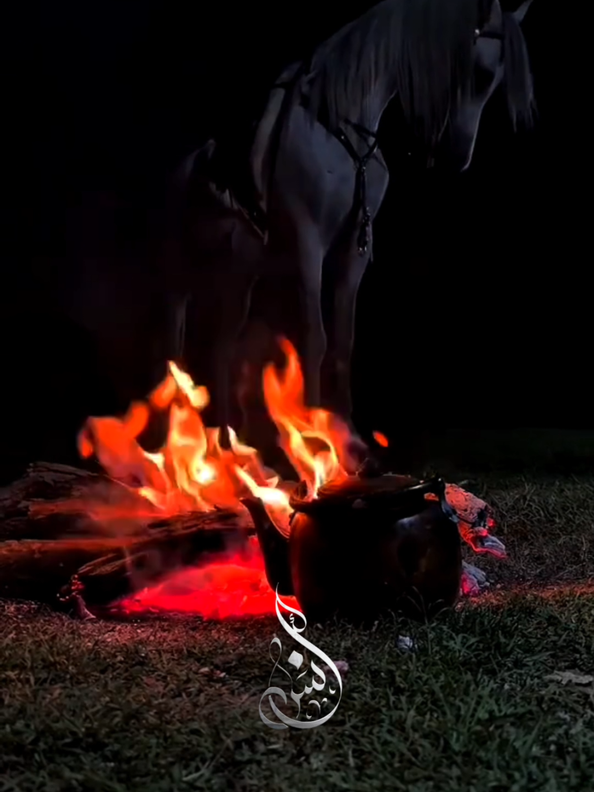 رباه غينًا منك يغسل أدمعي ويُذيب هما قد أطال بأضلعي  #خَـولاااان🌷 #تل_ابيض_رأس_العين_سلوك🖤🌷 #ابو_البراء_الركاوي🤍 