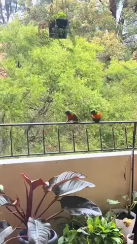 #bangladesh🇧🇩 #reelsvideo #shorts #viralsong #everyone 