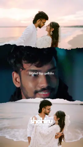මේ හිත සනසා 🤍 @Uvindu Ayshcharya  #shahiru #trending #mehithasanasa #uvinduayshcharya #viral @vinoli_dissanayaka 