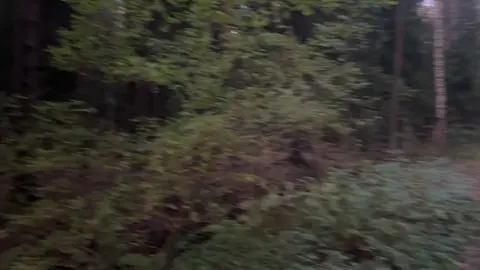 Держите фоновое видео для ваших красивых текстов и идей )