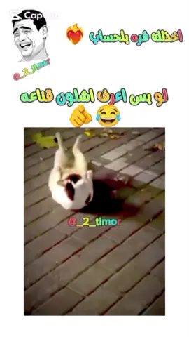 #ههه #تحشيش #ضحك #😂😂😂 #تحشيش 