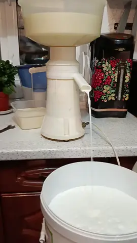 #молокосметанаэтовау#живитерадуйтесьжизньодна #деревенскаяжизнь #потихонькувсевостонавливаем#идеммнатурпродукту