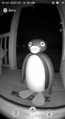 I thought my doorbell went off twice #nootnoot #Pingu #panguin #doorbell #sora 
