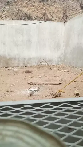 #tiktok 