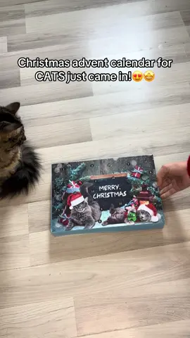 Super excited for this advent calendar!!!🤩🎄 #catchristmas #cattok #adventcalendar #catproducts #catlover 