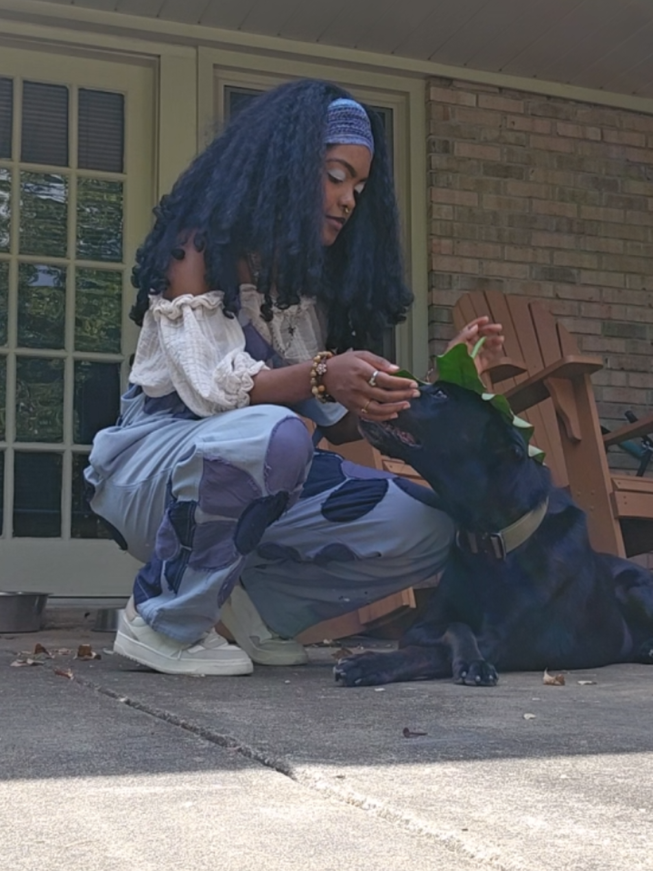 baby dog #dog #blacklab #earthyblackgirl #dogmom 