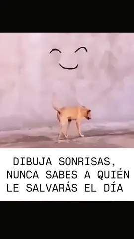 Le hicieron el día al PELUDO cuando descubrió la sonrisa.