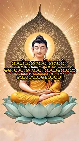 ဓမ္မရောင်ခြည် #တရားအဆုံးအမခံယူကြမယ်🙏🙏🙏  #dhamma🙏🙏🙏  #buddha 