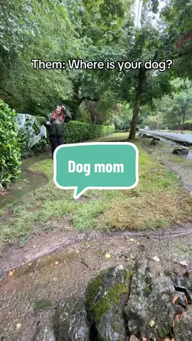 I never thought I would be a dog mom like this, but she is completely spoiled and I’m not sad about it. 