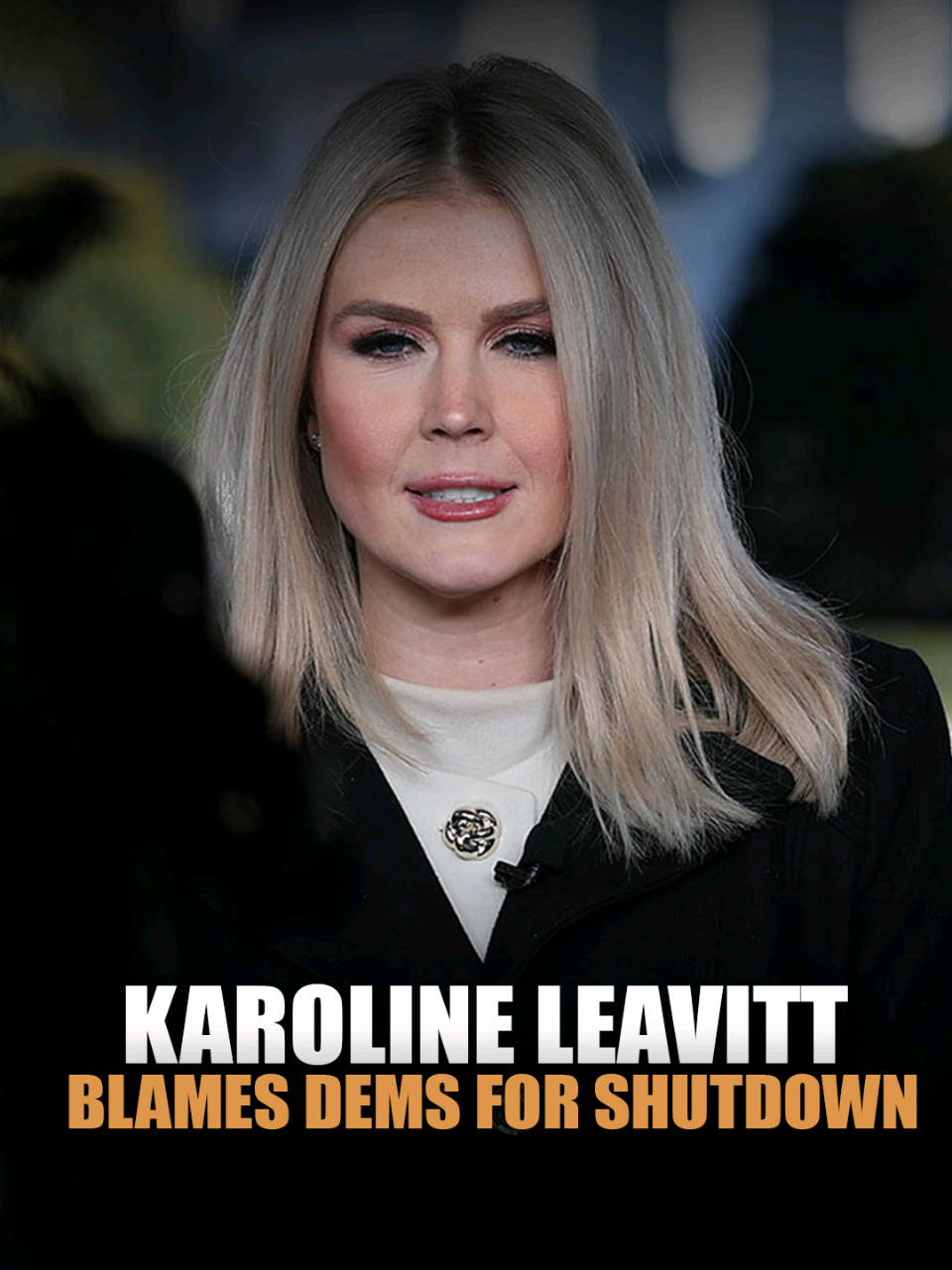 WH press secretary Karoline Leavitt blames the shutdown on the Democratic Party #fyp #viral #trending #fypシ 
