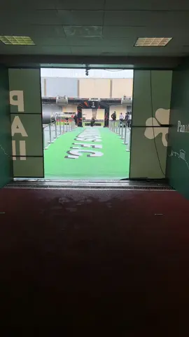 Stadium Ready 🔥  #UEL #PANGAE #foryou #goaheadeagles 