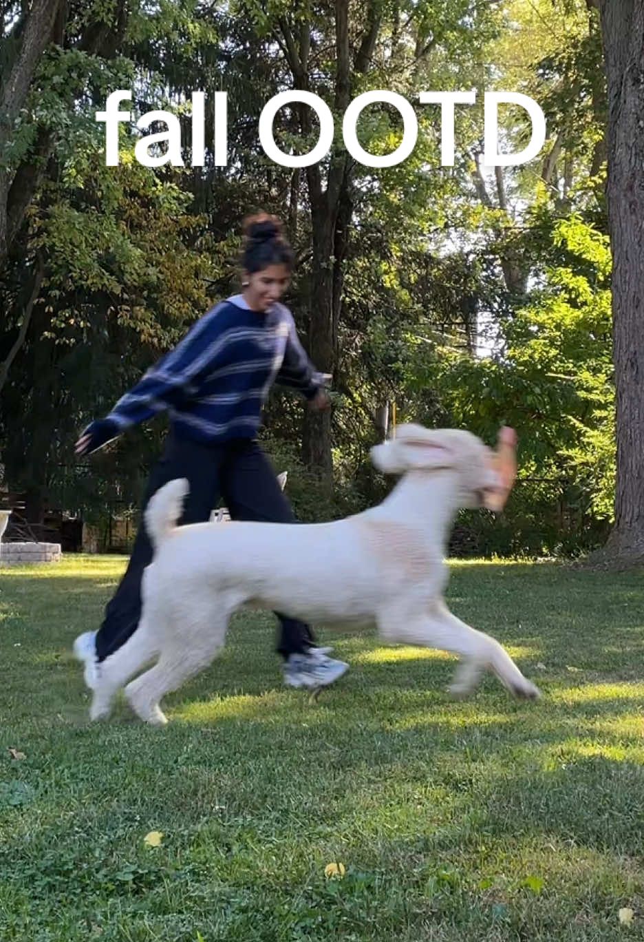 transitional fall outfit of the day featuring my very high energy puppy 🐩  #fallootd #falloutfitinspo @Free People @Ölend @lululemon @adidas @Everlane #sustainablefashion #secondhandfashion #smallcontentcreators 