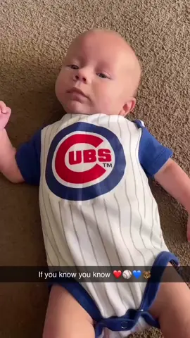 Raiden says Go Cubs Go #nationalleauge #chicagocubs #pinstripes #gocubsgo⚾️🐻💙❤️ #gocubsgo⚾️ 