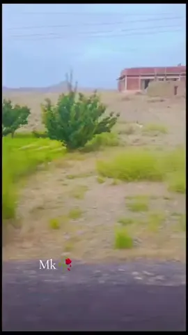 #onthisday Loralai🥰♥️#fyp #foryoupage #creatorsearchinsights2025 