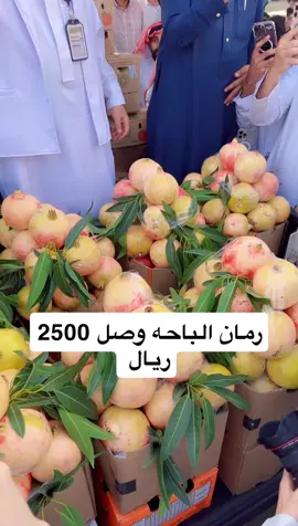 رمان الباحة في مهرجان العنب والرمان بالطائف 