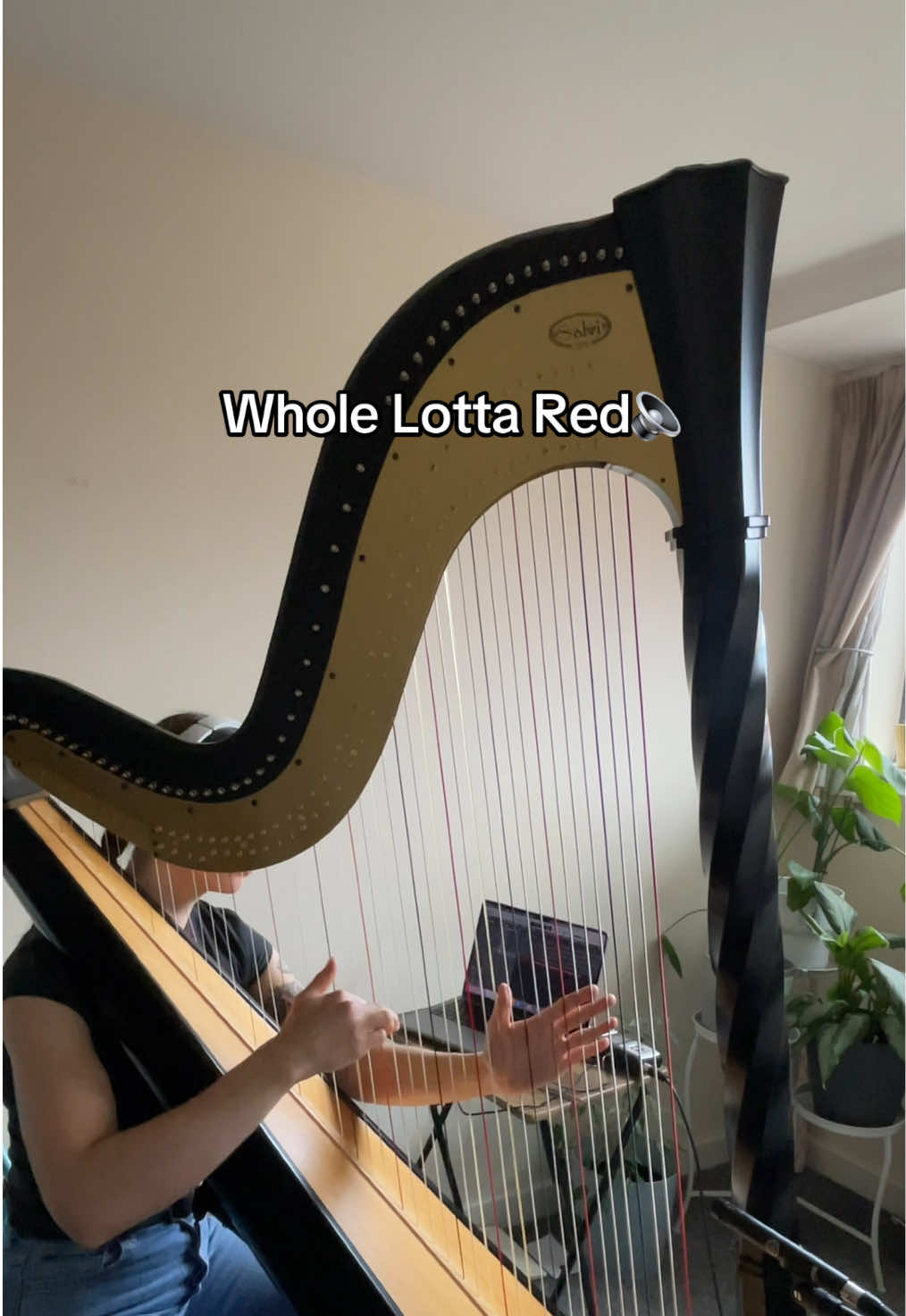 Levitating😮‍💨  Using “Make It Ambient” preset in Mantra by @Neural DSP  Have not stopped using this since I got it!🙏🏻 Mic: AKG P170 Condenser Microphone  #rap #playboicarti #wholelottared #harp #music