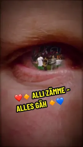 ❤️🔸 𝐀𝐋𝐋𝐈 𝐙Ä𝐌𝐌𝐄 – 𝐀𝐋𝐋𝐄𝐒 𝐆Ä𝐇 🔸💙 #FCBasel1893 #europaleague #uel #vfbstuttgart #stuttgart