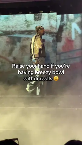 Take me back 😩😩😩 #breezybowl #chrisbrown #chrisbrownofficial #chrisbrowntiktok #concerttok 
