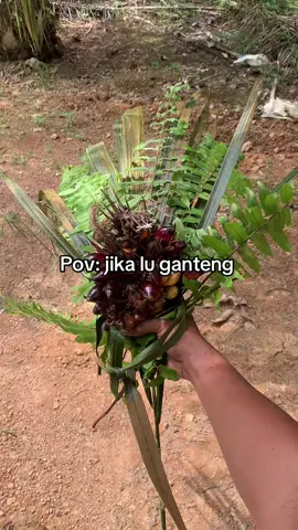 Yg jelek manen aja🗿#fypシ゚ #kulisawitkalimantan🌴🌴 #petaniindonesia🇮🇩🇮🇩🇮🇩🌿🌿 #petanimuda #nguli 