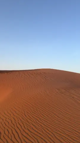 #بطل_الدروب #نيسان #باترول #بلاتينيوم #نيسان 