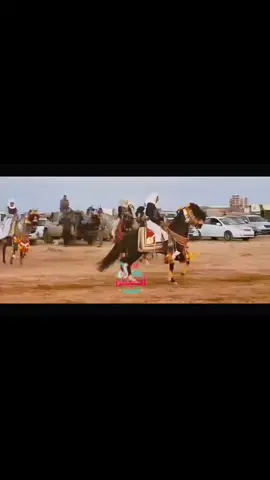الرجل كن حكا سمعوله👑🐴 #خيل_وخياله🐎 #فرسان_ليبيا #عاشق_الخيل #فرسان_برقه🖤🔥✊🏻  #ليبيا_طرابلس_مصر_تونس_المغرب_الخليج 