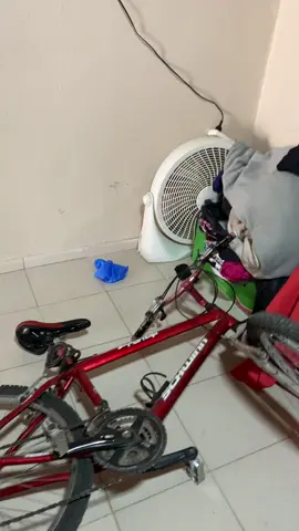 #gatos #tiktok #paratiiiiiiiiiiiiiiiiiiiiiiiiiiiiiii 