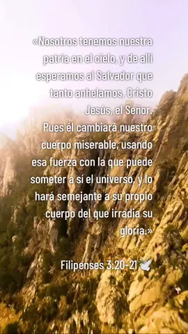 #Fyp #Viral #HagamosViralaJesus #VersiculosBiblicos #JesusTeAma  Todo al tiempo de Dios, Con Dios a mi lado, Jesucristo Poderoso, Dice la palabra de Dios, Mensajes positivos Cristianos, Poner a Dios en primer lugar, Hagamos viral a Jesús, Oración de Dios de fe, Dios es mi fuerza, Dios no nos abandona, Dios es amor reflexión para compartir, Jesús Todopoderoso