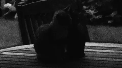 وبعيني أخليّها !  #غيث_صباح #اغنية #اغاني #foryoupage #fyppppppppppppppppppppppp 