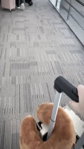 Mình đang ở cái tuổi bước qua cổng Hải quan chứ không phải là bước vào lễ đường #taiwan🇹🇼 #taipei 