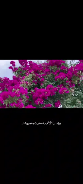 #هاشتاق .............