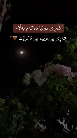 شەڕی دونیا دەکەن بەڵام شەڕی بێ تۆییم پێ ناکرێت 🤎”#slimani_سليماني_hawler_هه_ولير🖤 #activ 