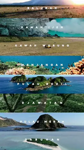 Pov. Kamu menginjak di bumi premium banyuwangi.  Jadi kamu team mana nih? hanya jadi penonton atau team survey langsung hihi…  See you on trip Journies 🍃 Untuk informasi lebih lanjut seputar perjalanan wisata 📬 Dm atau hubungi +62 813 3339 3090 #b#banyuwangitripb#banyuwangie#exploree#explorebanyuwangid#djawatank#kawahijenk#kawahijenbanyuwangib#banyuwangiexsoticprivattrip