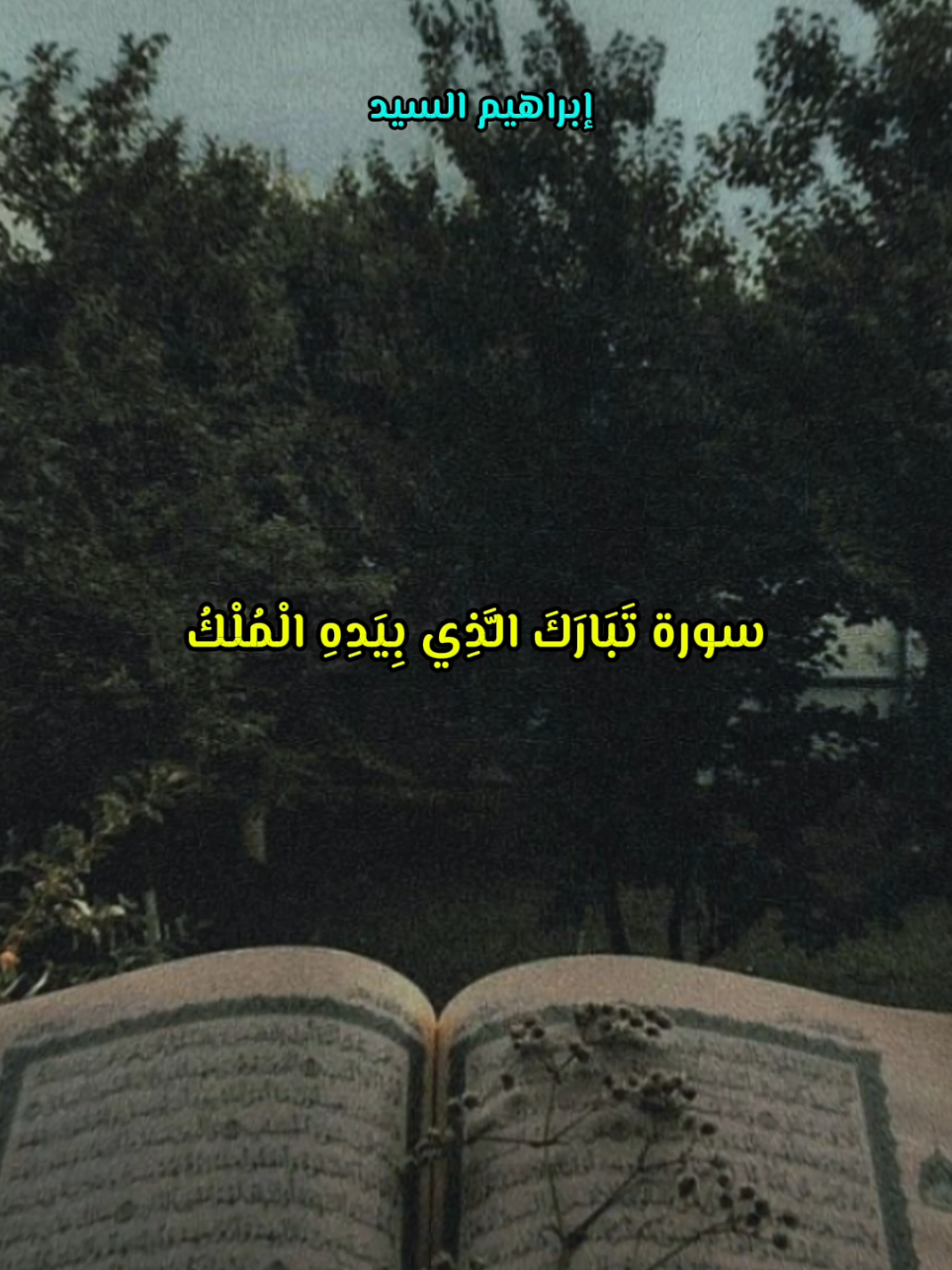 سورةُ تَبَارَكَ هي المانِعةُ مِن عذابِ القَبرِ) . 4- أنها شفعت لرجل حتى غفر له: عن أبي هُرَيرةَ رضيَ الله عنه، عن النَّبيِّ صلَّ الله عليه وسلَّم قال: (إنَّ سورةً مِن القُرآنِ ثلاثونَ آيةً شفعتْ لِرَجُلٍ حتَّى غُفِر له، وهي سورةُ تَبَارَكَ الَّذِي بِيَدِهِ الْمُلْكُ) . 5- كان - صلى الله عليه وسلم - لا ينام حتى يقرأها: #قصص🖤🎧 #مقتطفات🖤🎧 #اكتب_شي_توجر_عليه #الشيخ_عبدالحميد_كشك_رحمه_اللَّه♡ #هنا_مدرسة_محمــــــدصلى الله عليه وسلم 