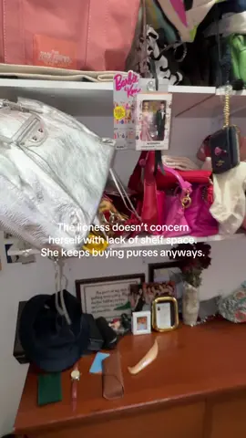 The lioness loves purses, what can she say!!  #designerbags #fashiontiktoks #messyclosetcheck #secondhandfashion #thelion 
