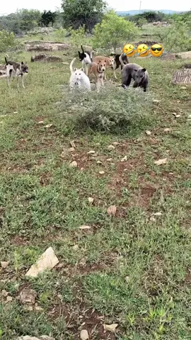 #fyp #foryou #foryoupage #uae🇦🇪 