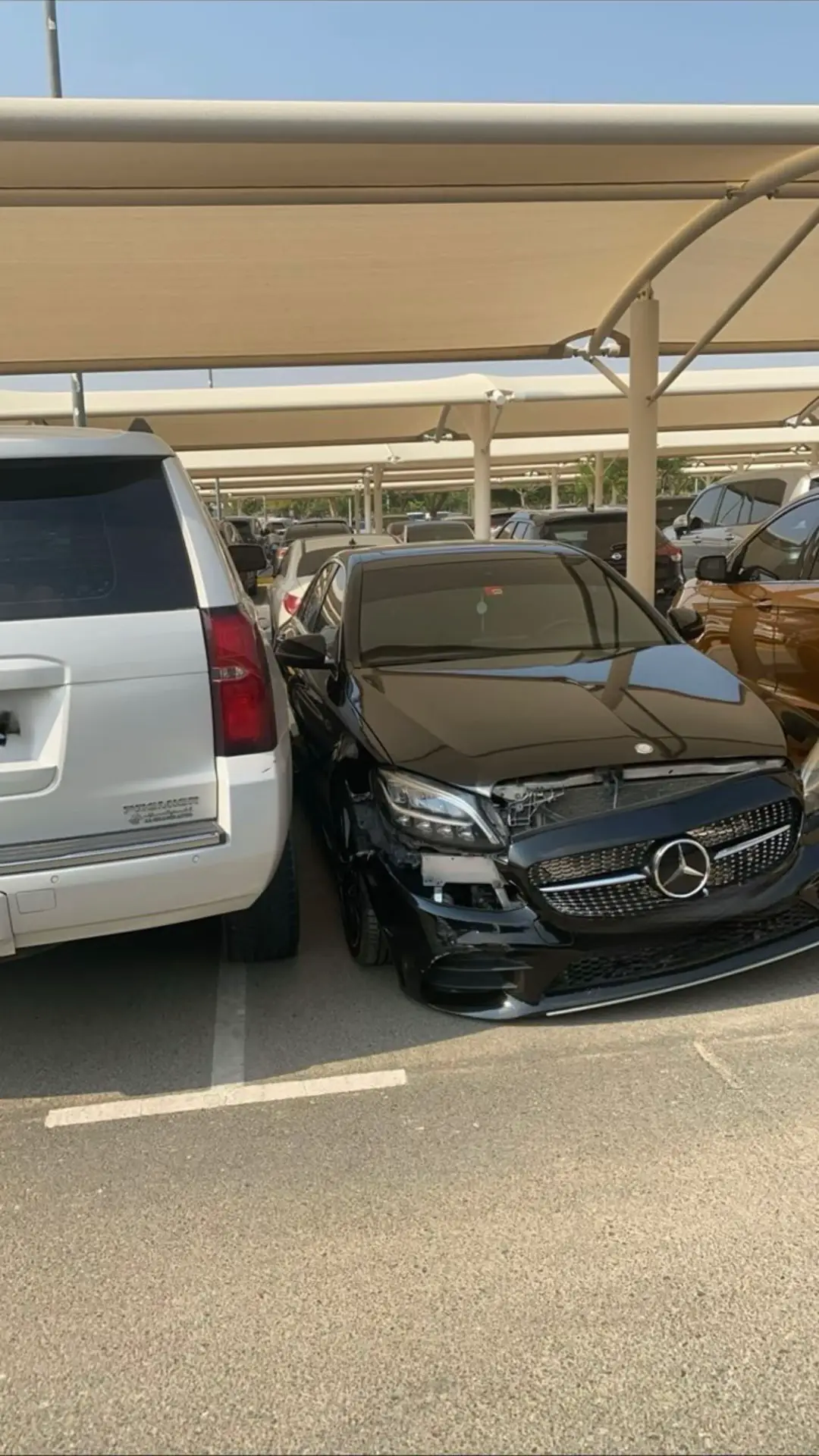 #zu #zayeduniversity #fyppppppppppppppppppppppp #fyp 