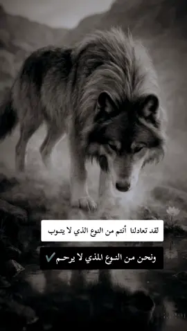 #fyp #F #f #شلفاوة_والحلاوة🔥 #شعب_الصيني_ماله_حل😂😂 