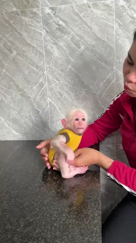 #monkey #Duke  #is Duke angry with mom#