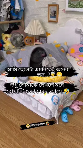 আমি ছেলেটা এমনিতে অনেক ভদ্র!! @TikTok @Tiktok Bangladesh #fyp #viral #viralvideo #foryou #ফানি_ভিডিও 